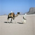 Algerien, Sahara,Targi mit Kamel bei der Oase Djanet