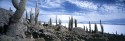 Bolivien, Salzpfanne Uyuni Isla de los Pescadores