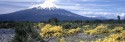 Chile, Vulkan Osorno