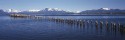 Chile, Patagonien, Kings Kormorane am Pier von Puerto Natales
