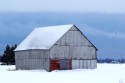  N4A0197NNSnowyOwlonbarnnexttoCasselmanBB